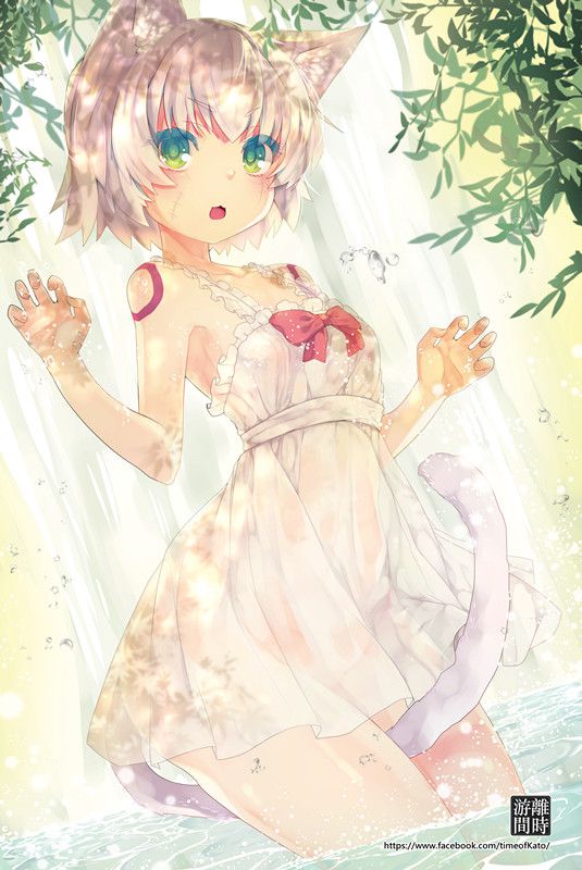 Ayakan!あやかん!